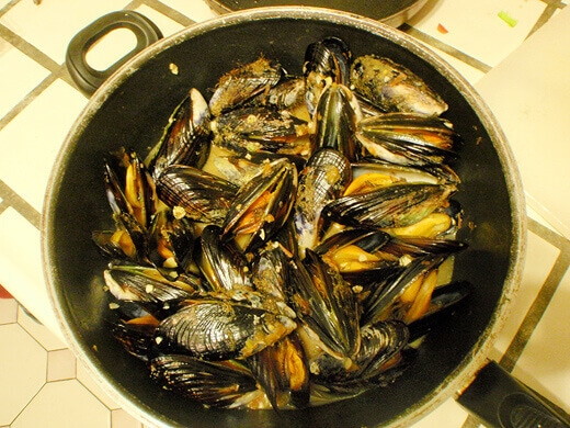 Steamed fresh mussels