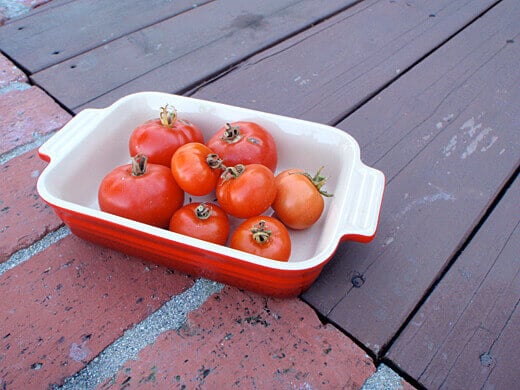 Tomatoes In Winter