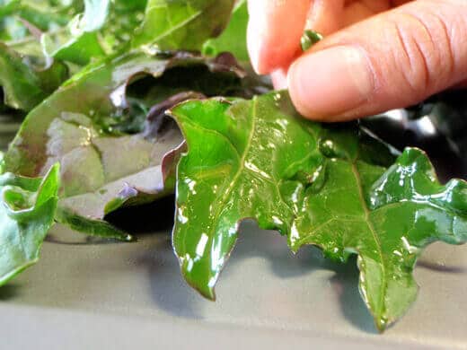 Lightly coat kale leaves with olive oil