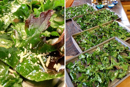 Oiled and seasoned kale leaves