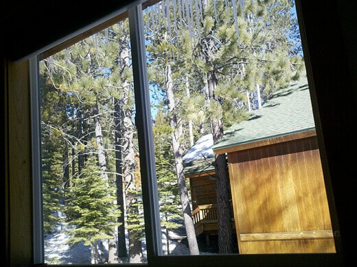 Waking up to a forest view