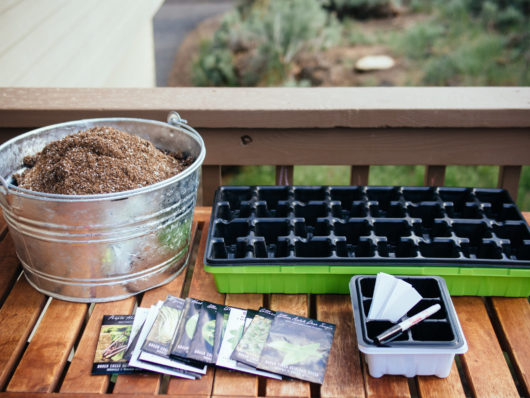 Cover seedlings with a dome to simulate a greenhouse effect