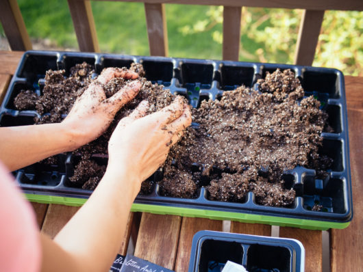 Keep your plastic dome vented for air circulation