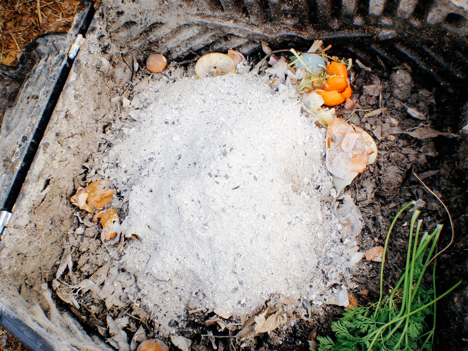 Adding wood ash to the compost heap