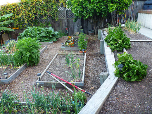 Upper and main levels of vegetable garden