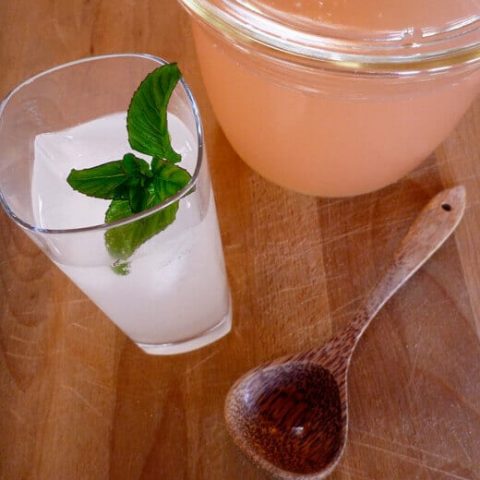 Rhubarb-vanilla bean soda