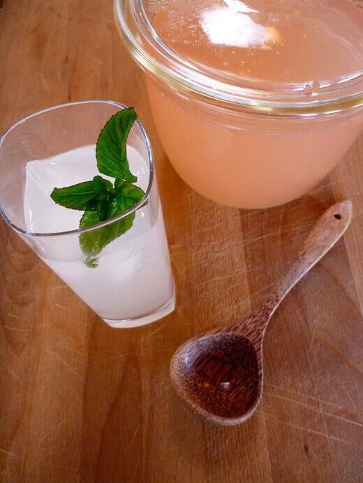 Rhubarb-vanilla bean soda