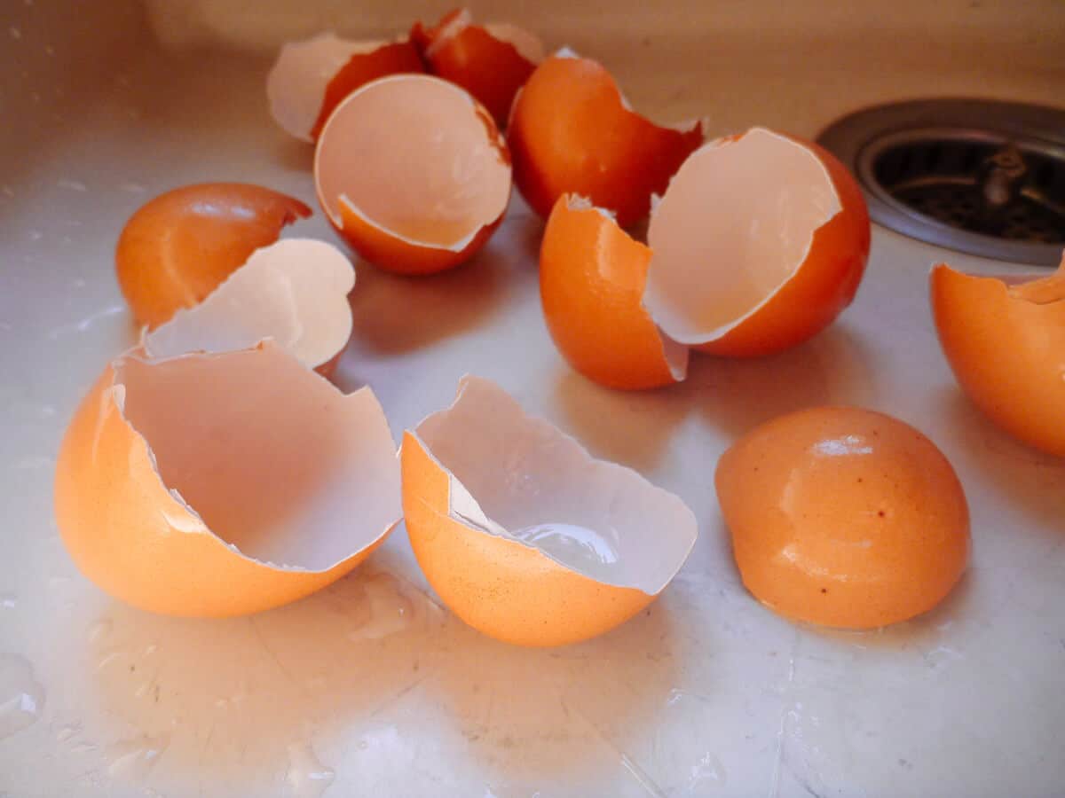 Rinse the cracked eggshells clean