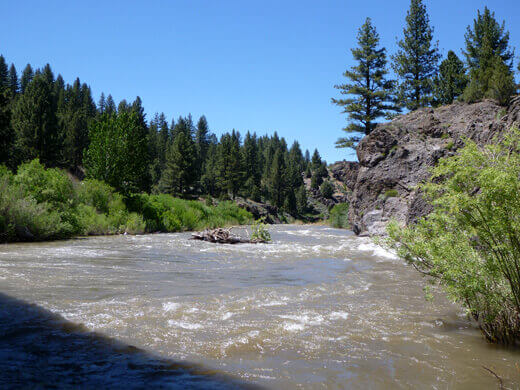 East Fork of the Carson River