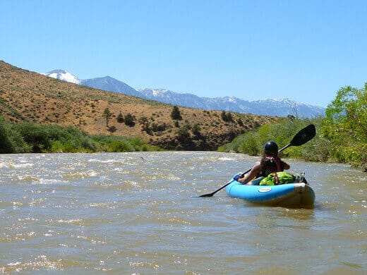 View of the Eastern Sierra from the Carson River