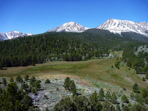 View of the horse meadow surrounded by granite peaks