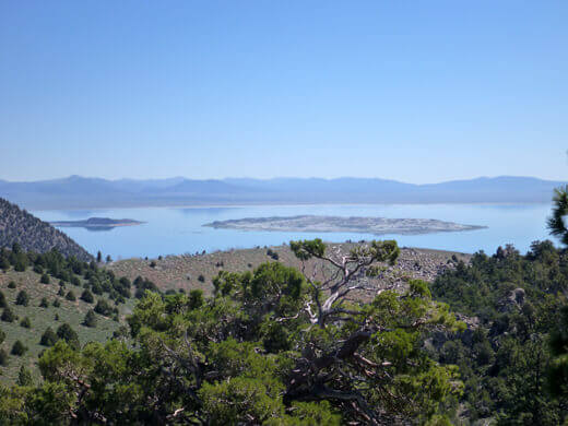View of Mono Lake