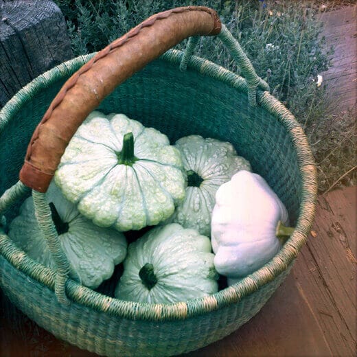 Basket of pattypan squash