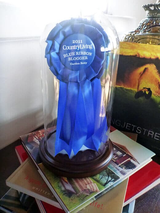 I Won! Country Living’s Blue Ribbon Blogger Awards