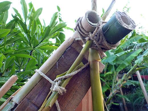 Bamboo stalks tied with jute twine
