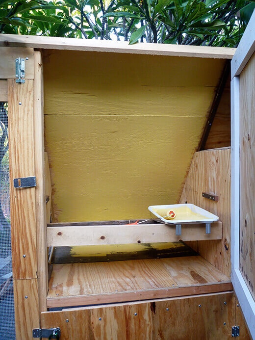 Interior of the coop painted with a semi-gloss yellow paint