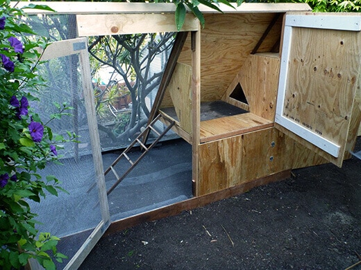 Two separate doors for the coop and feeding station