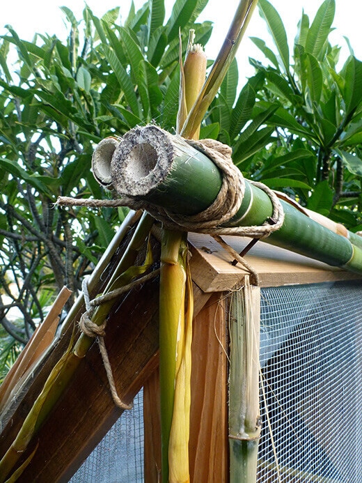 Bamboo stalks tied together with jute twine