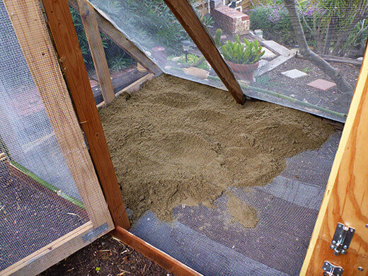 Loading sand into the chicken coop