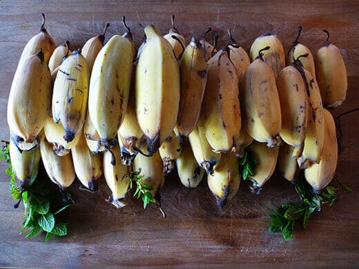 Homegrown banana harvest