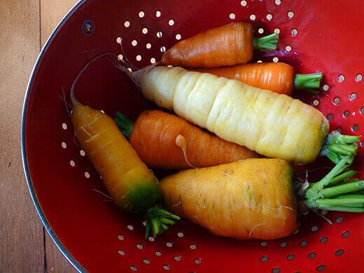 Colorful carrot harvest