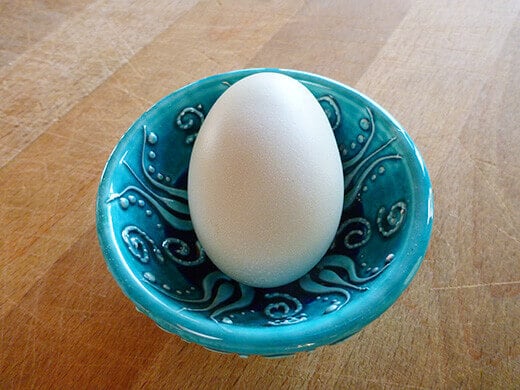 Green-tinted egg from Easter Egger chicken