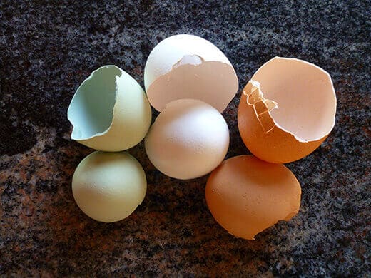 Green, white and brown eggshells