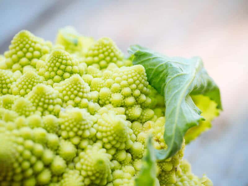 Romanesco broccoli fractals