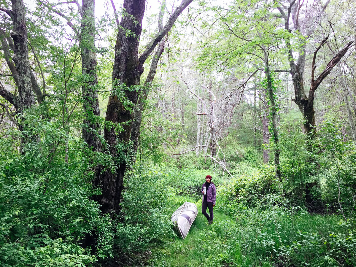 Take a walk in the woods to get the benefits of serotonin-boosting Mycobacterium vaccae