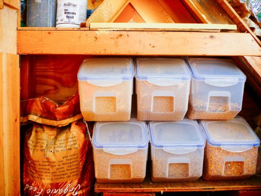 Whole grains stored in airtight bins