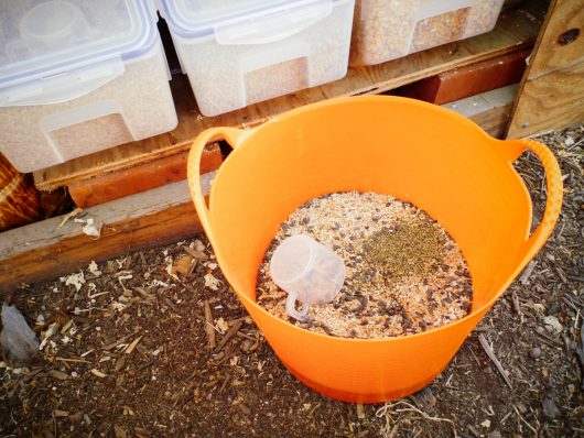 Mixing up grains, legumes and seeds for my homemade feed