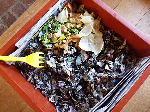 Add a handful of food scraps to the bin
