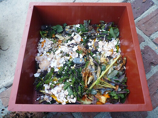 Add food scraps to the bottom layer of the second tray