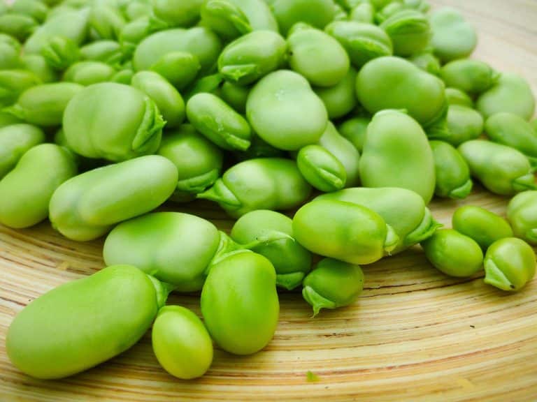Fava beans
