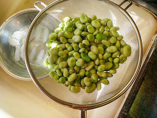 Strain the parboiled fava beans and dunk into a bowl of ice cold water