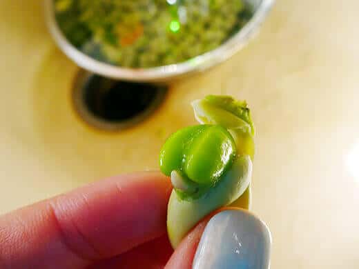 Squeeze the bean out of the outer shell