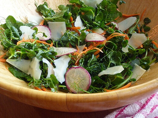 Homegrown spring pea shoot salad with radish and carrot