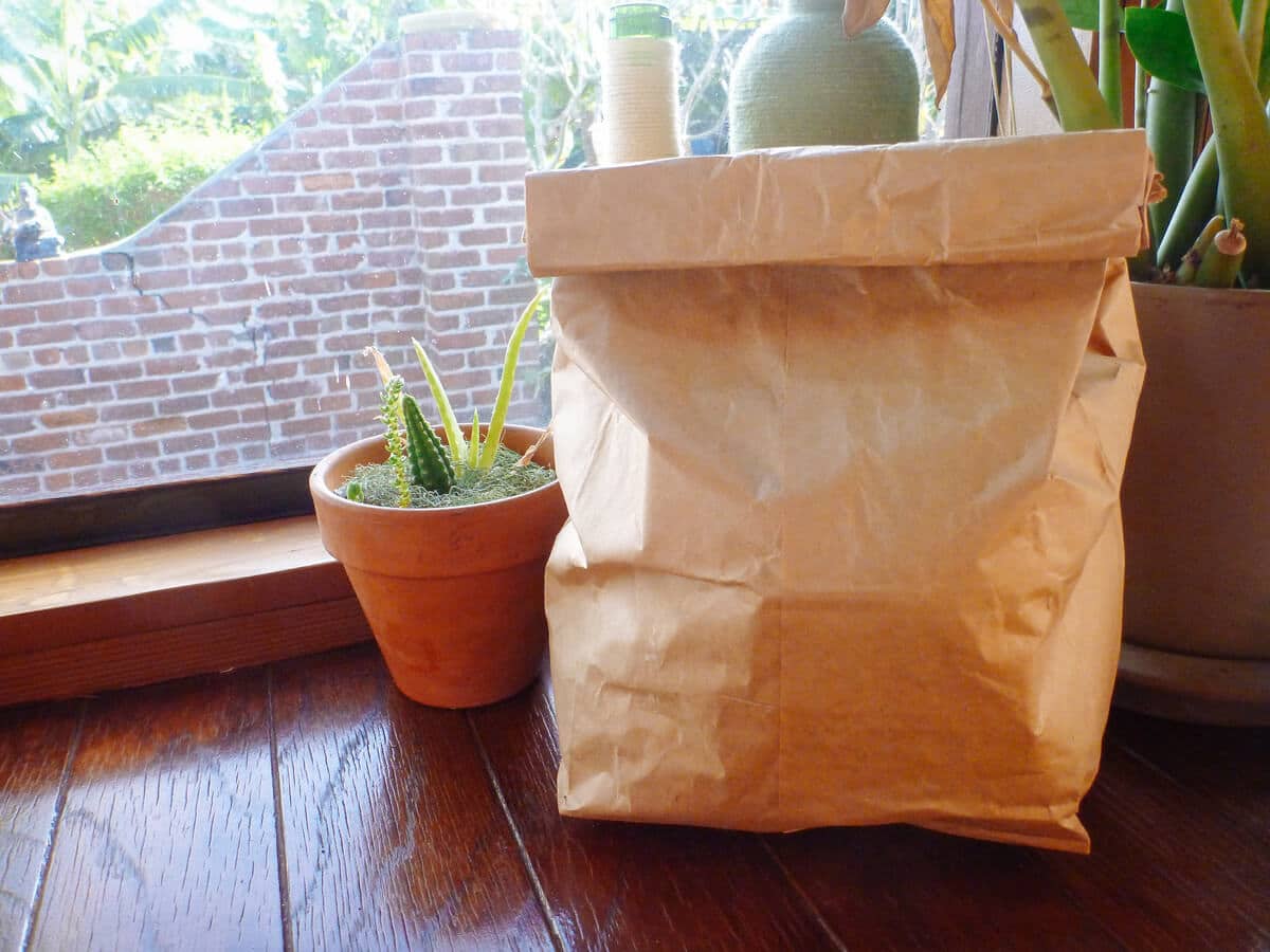 Speed up ripening by placing avocados in a paper bag