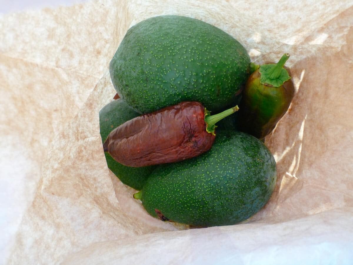 Keep avocados with other ethylene-producing fruits to speed up ripening time