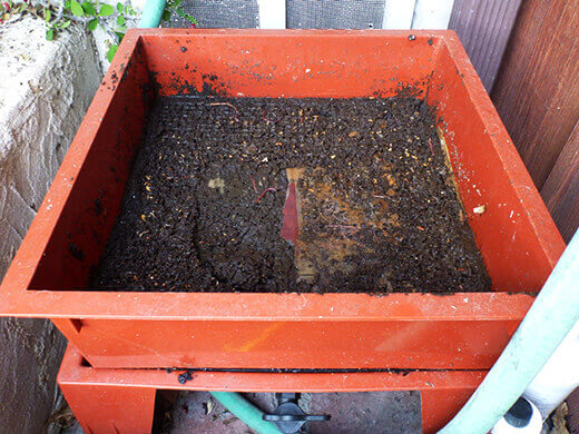 A tray of fully processed worm compost