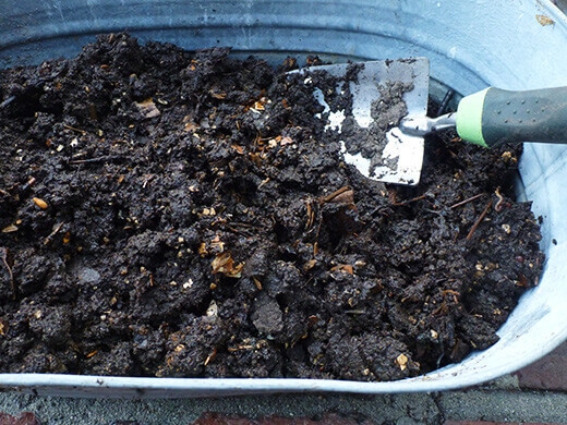 Finished worm compost