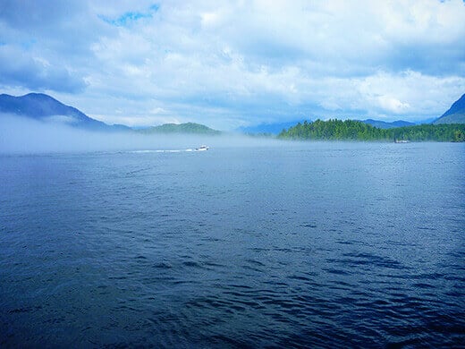Summer fog on the west coast of Vancouver Island.