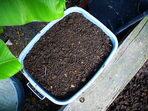 A bin of sifted compost