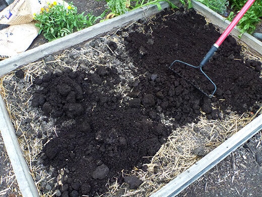 Amending clay soil with compost