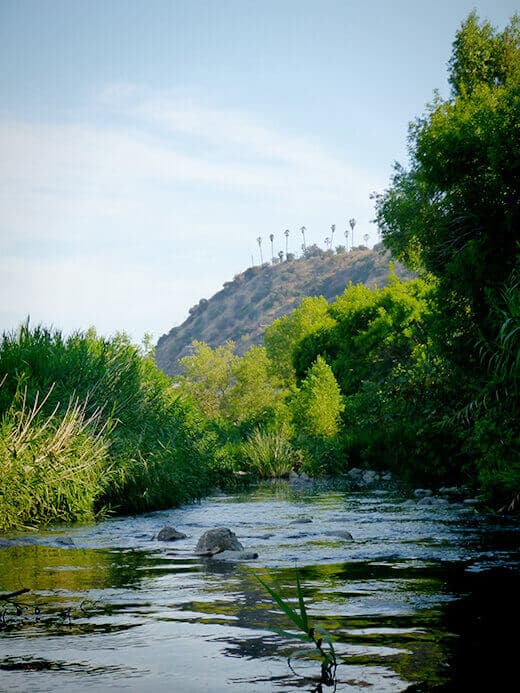Urban kayaking on the Los Angeles River