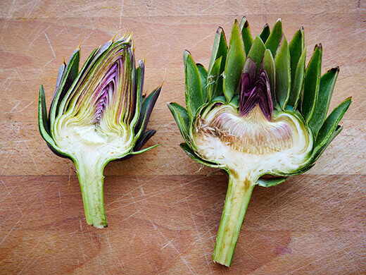 Comparison of a young and a mature artichoke bud