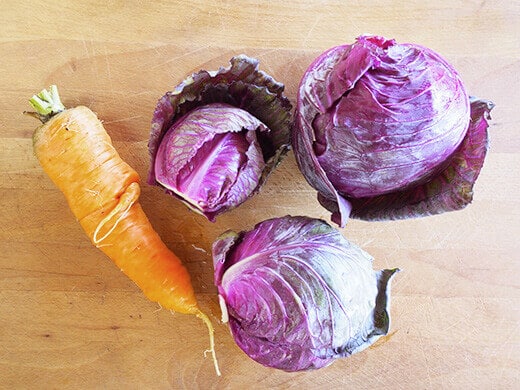 Chantenay Red Core carrot and Mammoth Red Rock cabbage