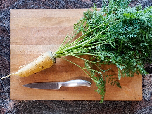 Freshly harvested carrot with greens