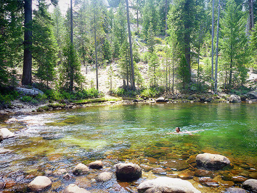 Swimming in the Merced River