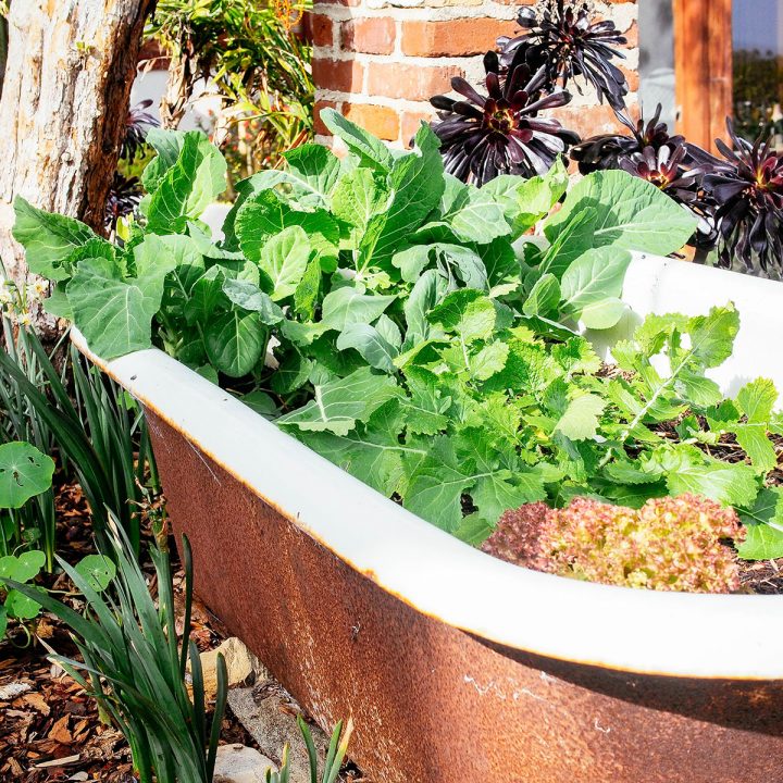The No-Dig Garden Method: Make Amazing Soil With Less Work – Garden Betty